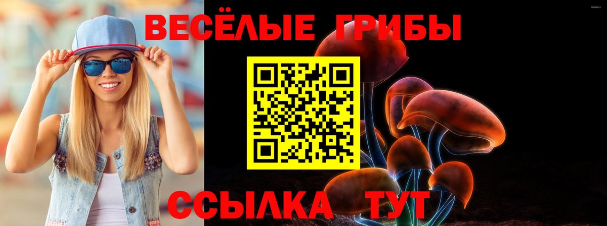 Галлюциногенные грибы GOLDEN TEACHER  Вход с VPN  Камень-на-Оби  Галлюциногенные грибы Cubensis 